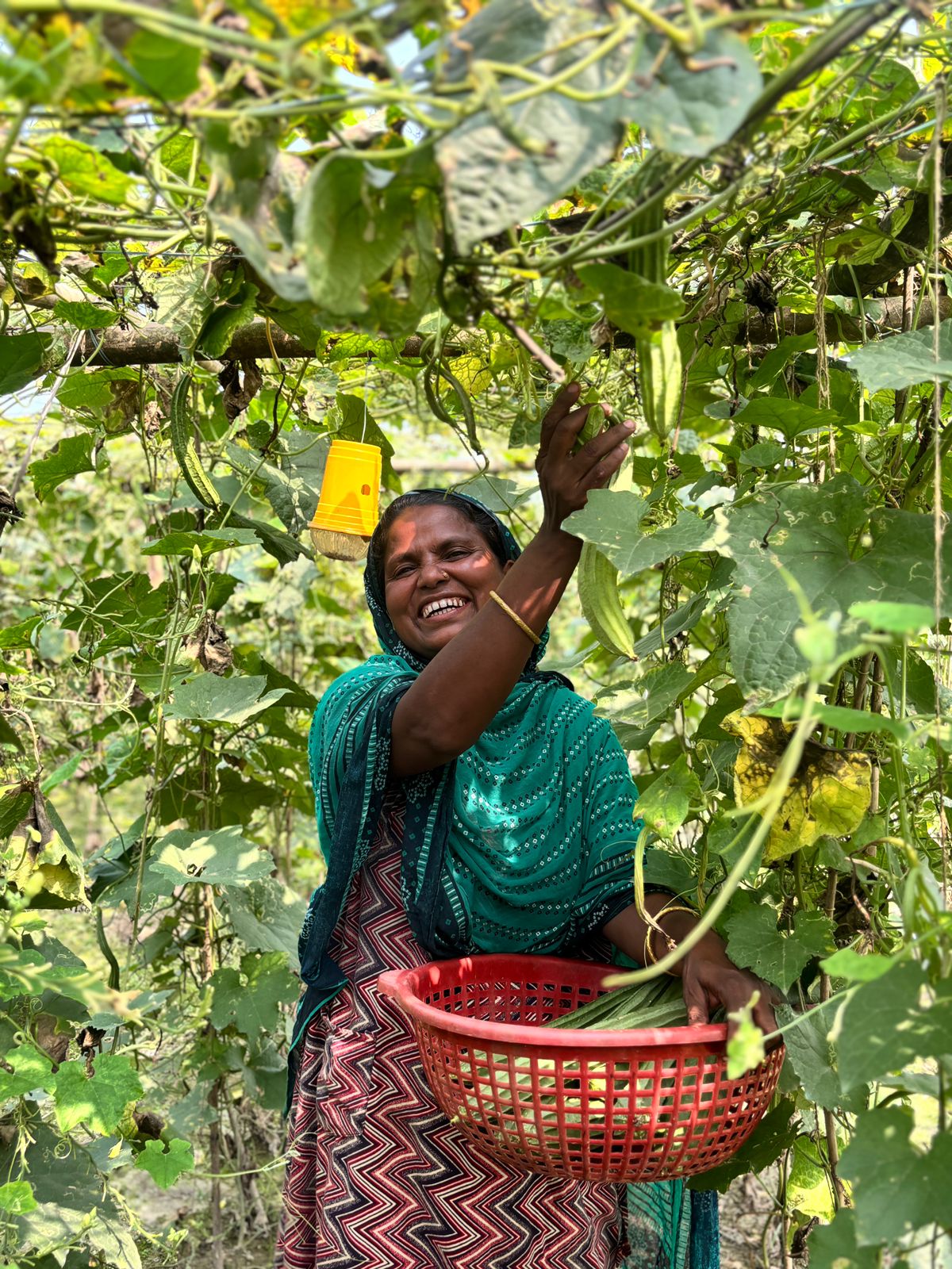 Sustainable livelihoods & rural enterprises